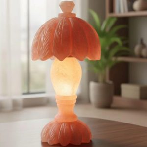 Decorative Salt Lamps