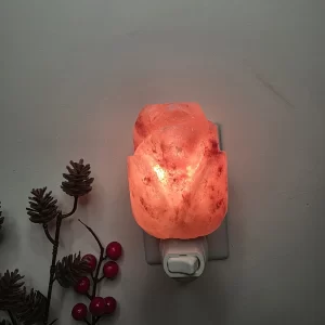 Himalayan Salt Flower Night Light glowing warm orange, plugged into wall outlet, next to purple flowers and pine cones by Premier Halite